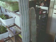 -水平有限螺蛳粉(宏达大厦店)