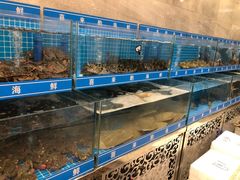 -喜来酌海鲜·饺子(和平一店)