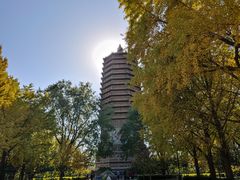 -玲珑塔公园