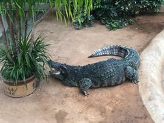 -西霞口神雕山野生动物世界