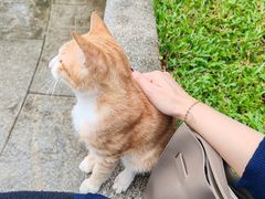 -十九路军淞沪抗日阵亡将士陵园