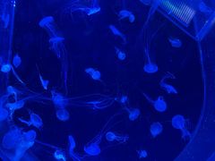 -海合安武汉极地海洋公园