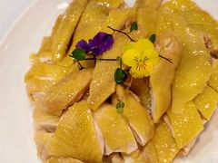 白切安铺鸡-明本湛江鸡•海鲜小厨(陈家祠店)