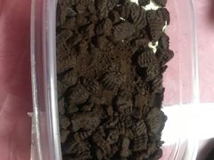 -老婆很芒榴莲千层蛋糕(丽泽桥店)