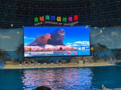 -泉城欧乐堡海洋极地世界