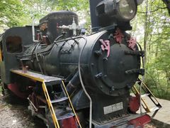 -五营红松林海景区