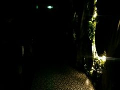 -天山醉美辣子鸡(文艺路店)