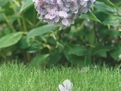 -印象莫奈时光映迹艺术展