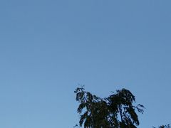 -武定停车区（京昆高速昆明方向）-地上停车场