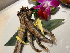 -采御鲜·回转寿司(汕头万达店)