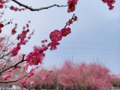 -长广溪湿地公园