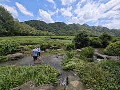 -中国茶叶博物馆(双峰馆区)