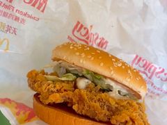 -麦当劳(新新大道岗丰店)