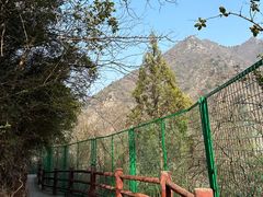 -汉中石门栈道风景区