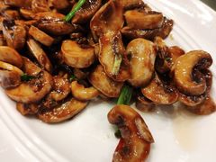 小炒口蘑-眉州东坡(中关村店)