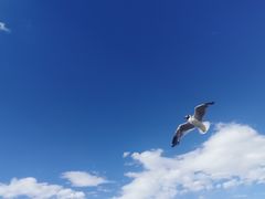 -班公湖