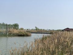 -盐城丹顶鹤湿地生态旅游区