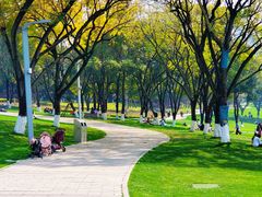 -重庆中央公园(渝北区)