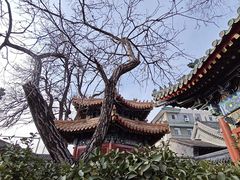 -贤良祠