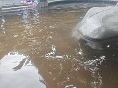 -碧水湾温泉