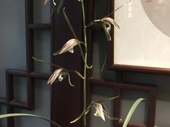 -墨池公园