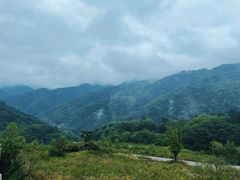 -朝阳沟