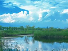 -野鸭湖国家湿地公园