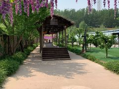 -呀路古热带植物园