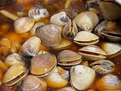 -吴记富苑(朝阳店)