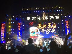 -郑州方特梦幻王国