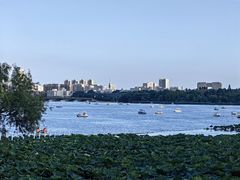 -长春市南湖公园