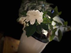 -爱家面馆(常州总店)