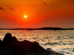-渡海小渔村.老辈日照菜