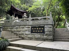 -十八棵（老龙井）御茶园(老龙井店)