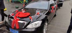 -蚂蚁婚车