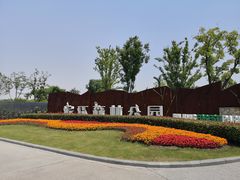 -上海滨江森林公园