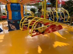 -南宫五洲植物乐园