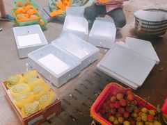 -三亚新鸿港水果一级批发市场