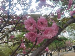 -西北湖绿化广场