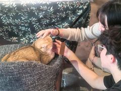 -咖法森林·咖啡  酒吧(天河店)