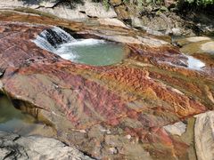 -广州白江湖森林公园