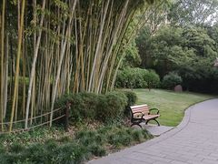 -新虹桥中心花园