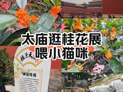 -北京市劳动人民文化宫(太庙)