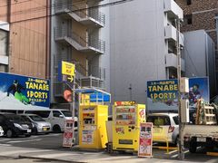 -TANABE SPORTS 滑雪用品双板专门店