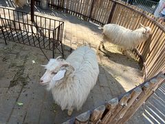-保定市动物园
