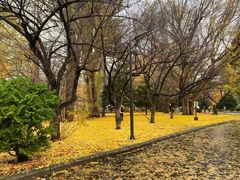 -北海道厅旧本厅舍(旧本庁舎)