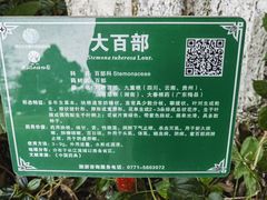 -广西壮族自治区药用植物园
