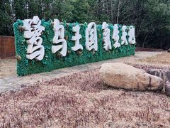 -象山森林公园