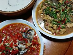 -全乐鱼馆·淳牌有机鱼直营店