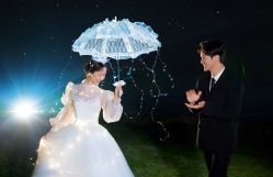 -巴黎春天·菀纱仙庭婚纱美学